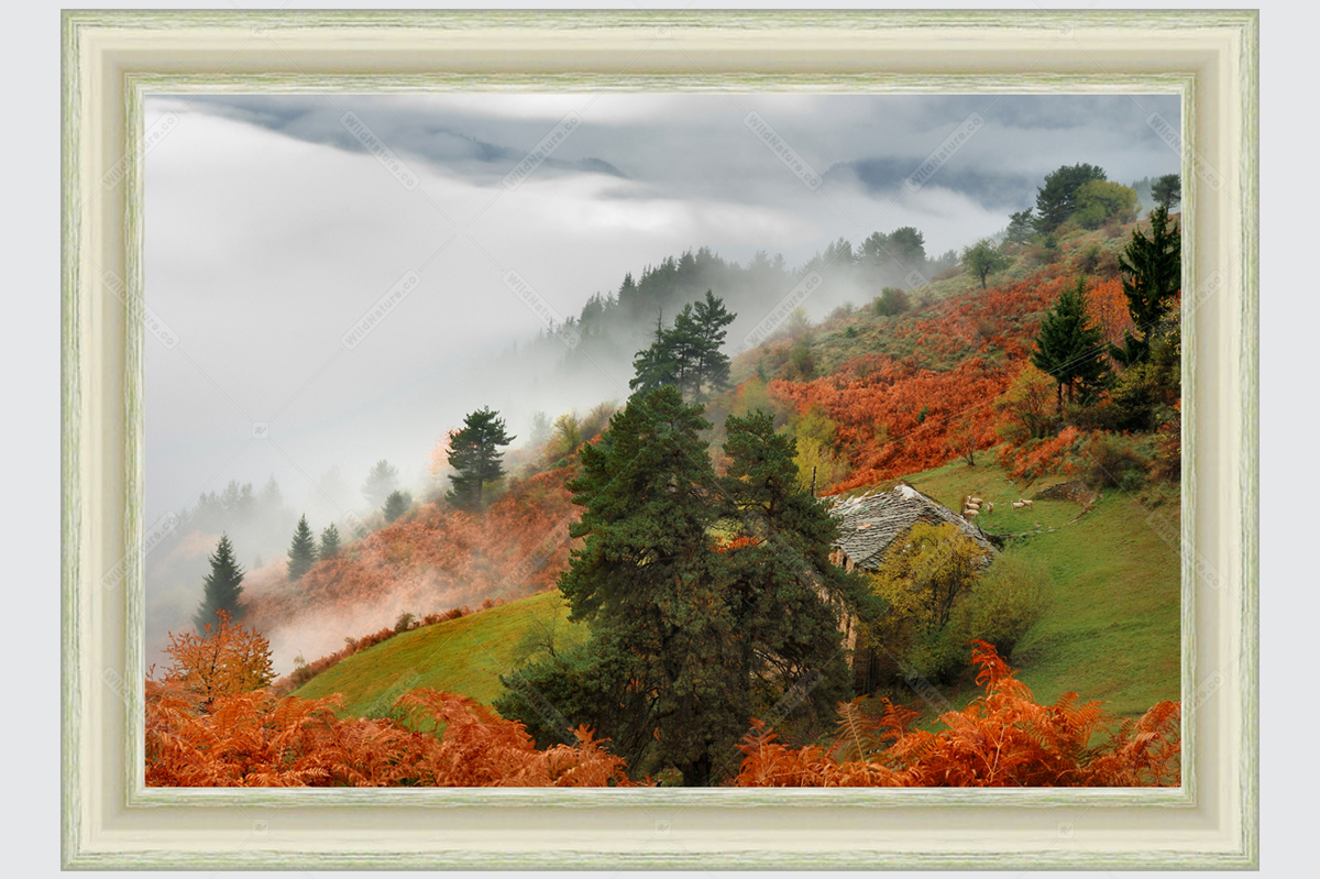Framed photo with a landscape from the Rhodope Mountains