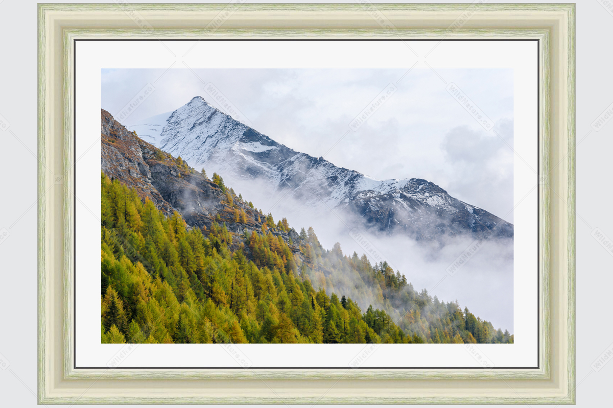 Framed photo from the Swiss Alps