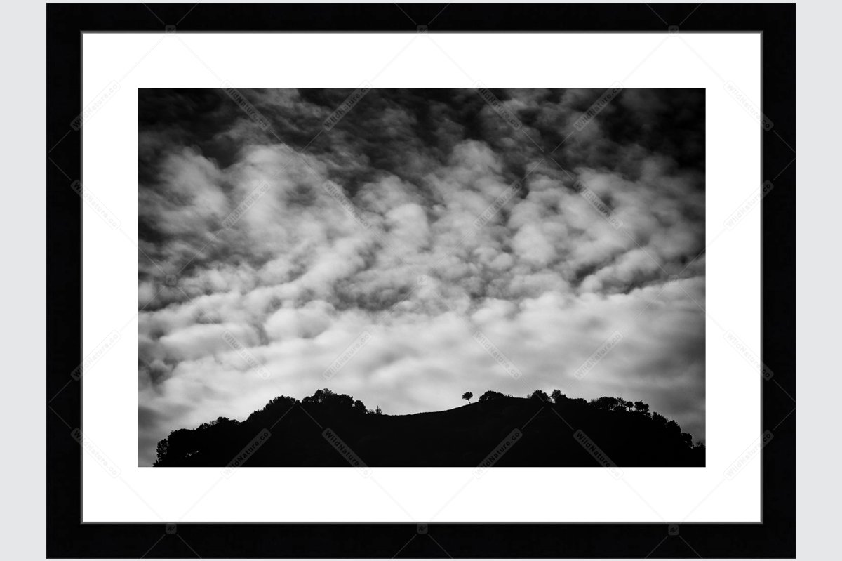 Framed photo with a black and white landscape from the Rhodopes