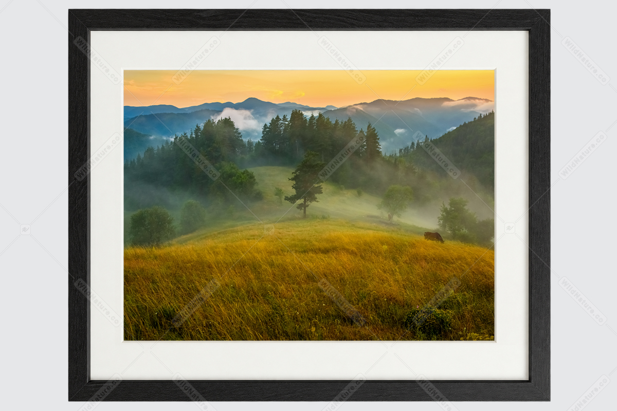 Framed photo with a Rhodope landscape