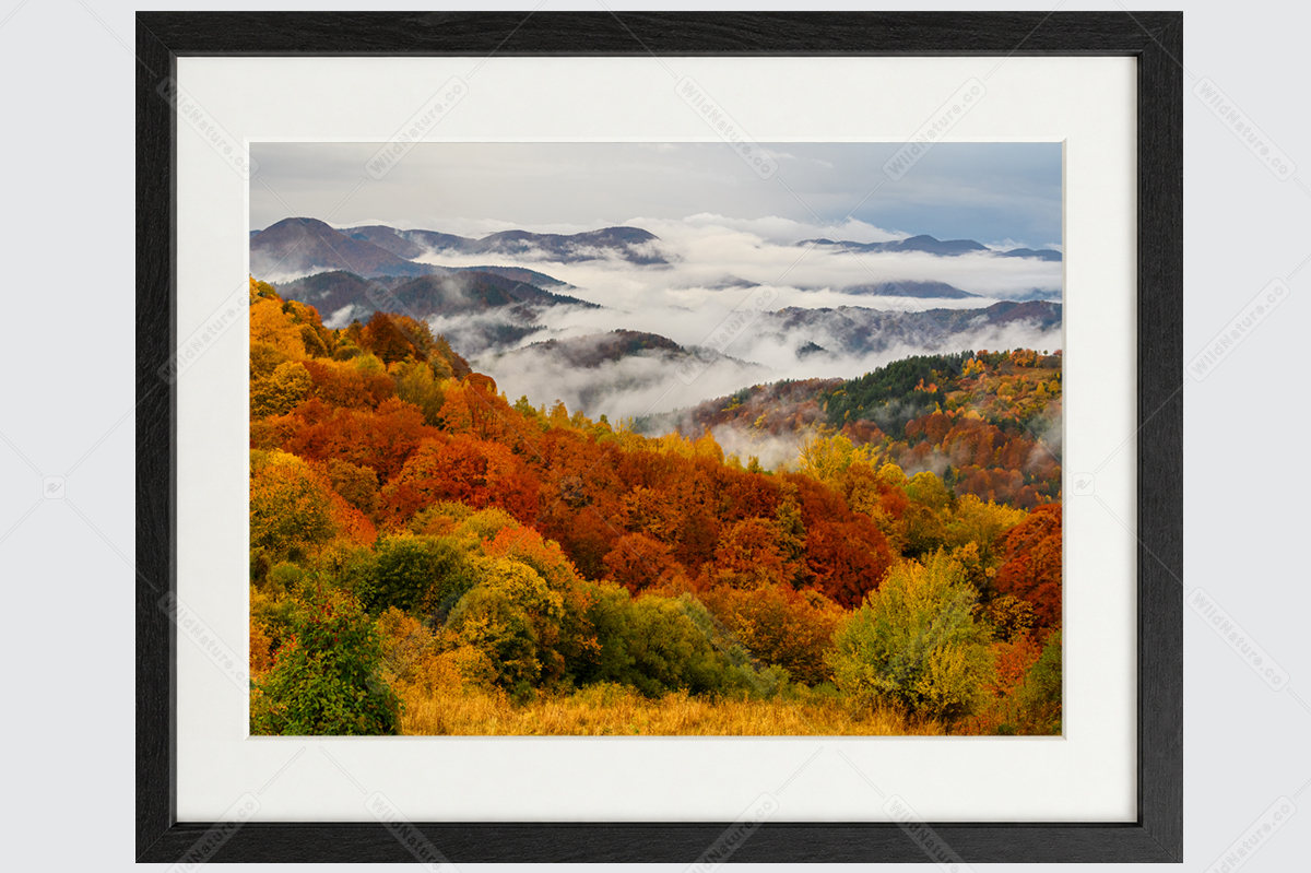 Rhodope landscape in autumn