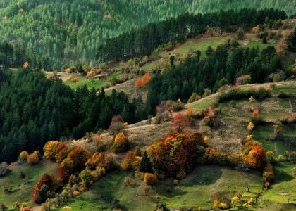 Autumn