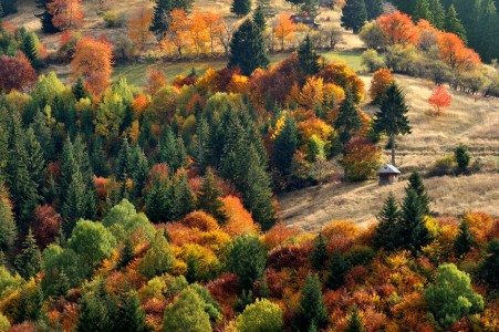 Autumn