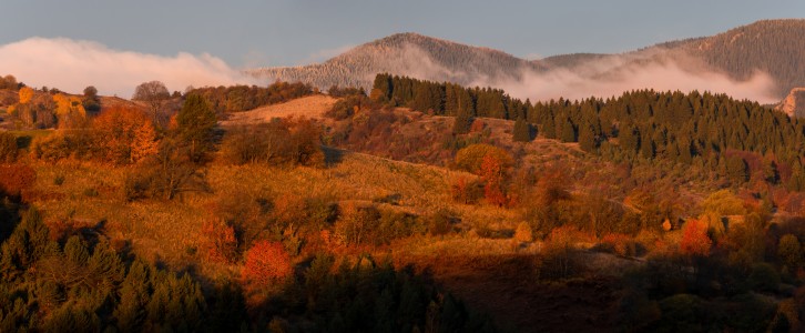 Autumn
