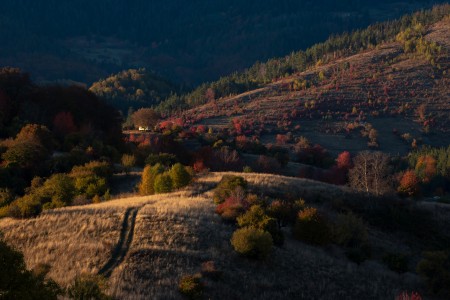Autumn