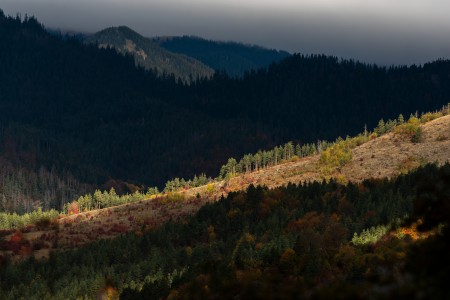 Autumn