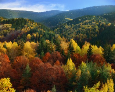 Autumn