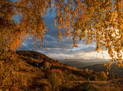 Autumn