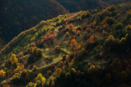 Autumn