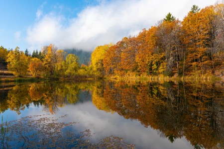 Autumn